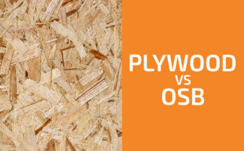 膠合板和OSB:你應該使用哪一種?
