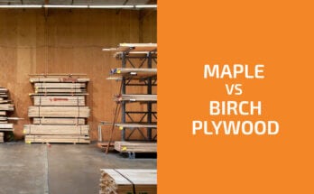 Maple vs. Birch Plywood: Which One to Use?