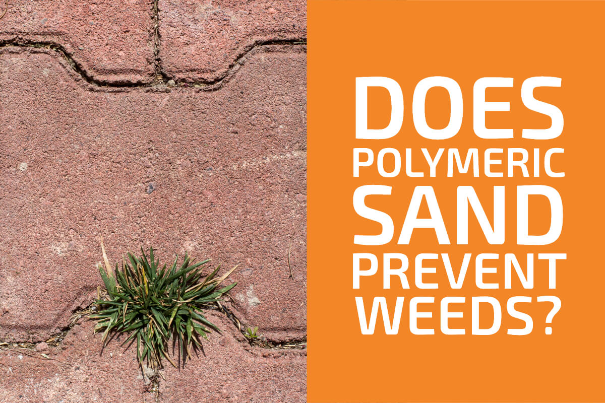 聚合砂能防雜草嗎?