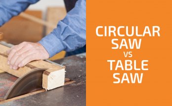Circular Saw vs. Table Saw: Which One to Choose?