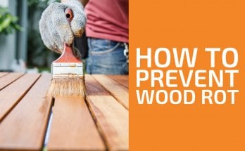 如何防止木材腐爛