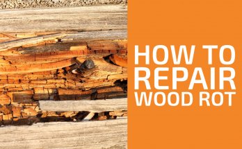 如何修複腐爛的木材
