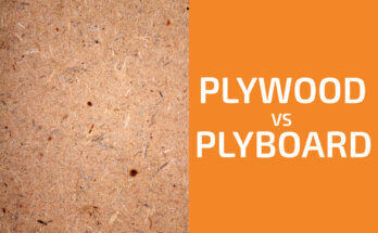 膠合板與Plyboard：您應該使用哪個？