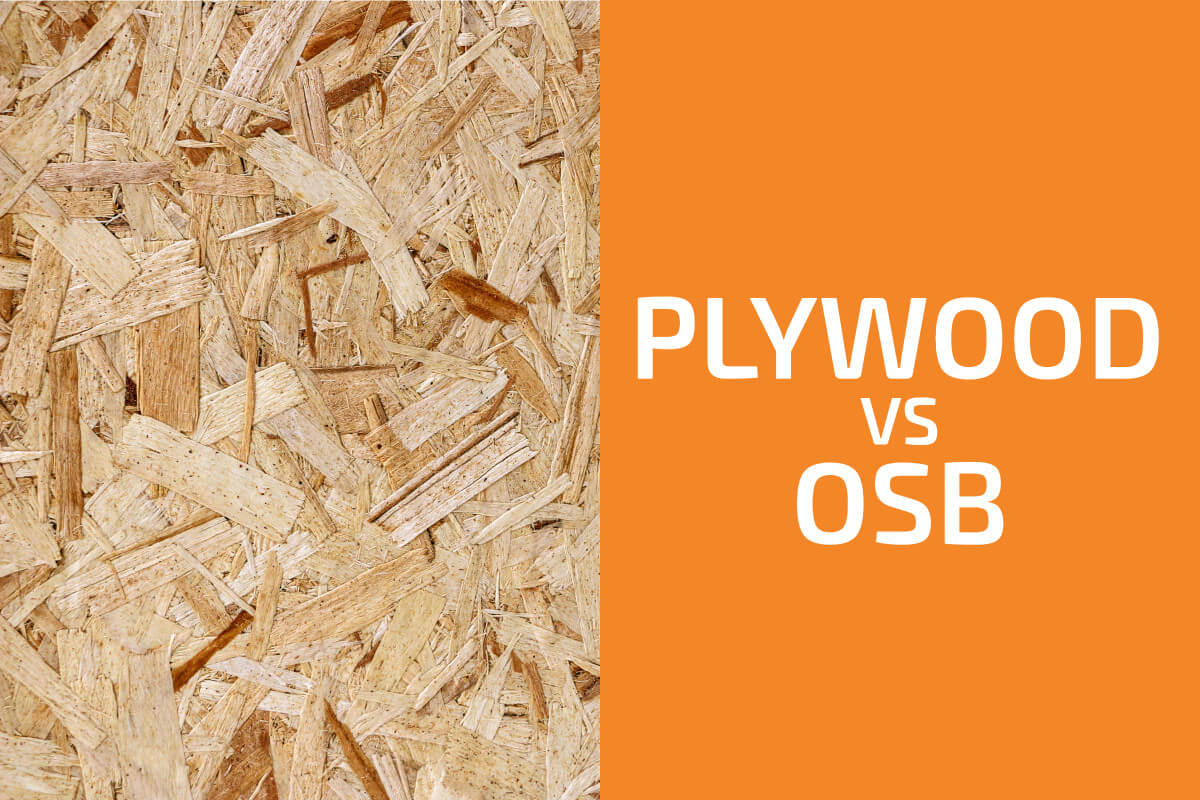 膠合板和OSB:你應該用哪一種?