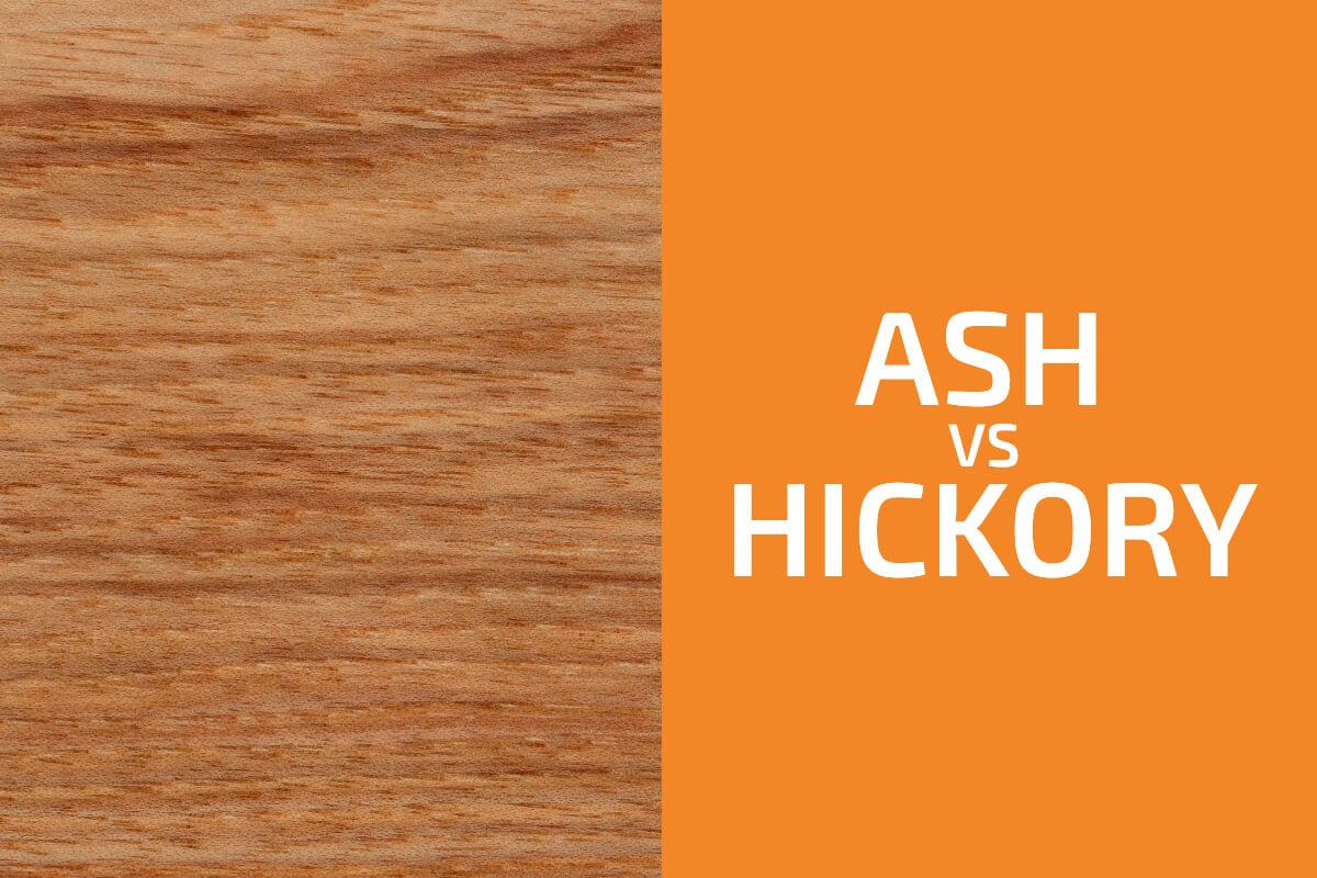 Ash vs. Hickory:用哪個?