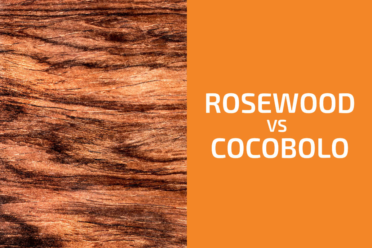 Rosewood vs. Cocobolo:用哪個?